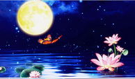 月夜视频,探寻神秘月色下的奇幻世界