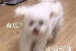 娱乐圈吃瓜微信聊天,幕后八卦大曝光