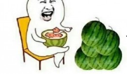 娱乐圈的吃瓜后果有哪些,揭秘明星隐私泄露与网络暴力真相