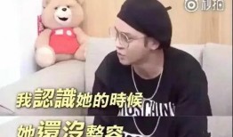 实锤娱乐吃瓜酱打拳,揭秘网络打拳背后的真相