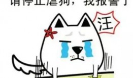 隐形式单身娱乐吃瓜酱,揭秘吃瓜酱背后的单身生活趣味