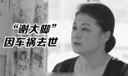 娱乐圈的吃瓜影帝起点,从娱乐圈吃瓜小透明到顶级巨星